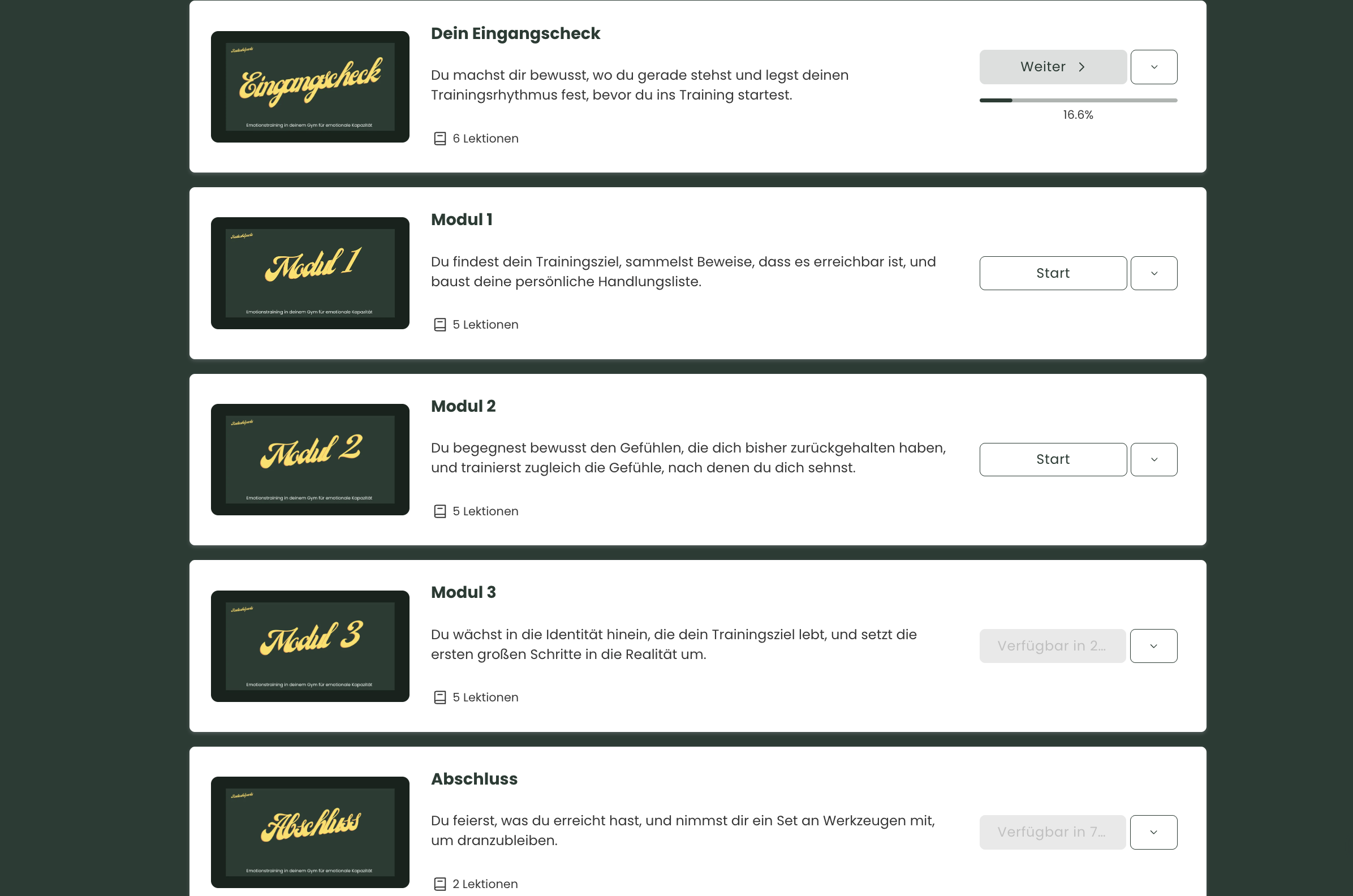 Modulübersicht im Radical-Sparks-Mitgliederbereich: Eingangscheck, Modul 1–3, Abschluss